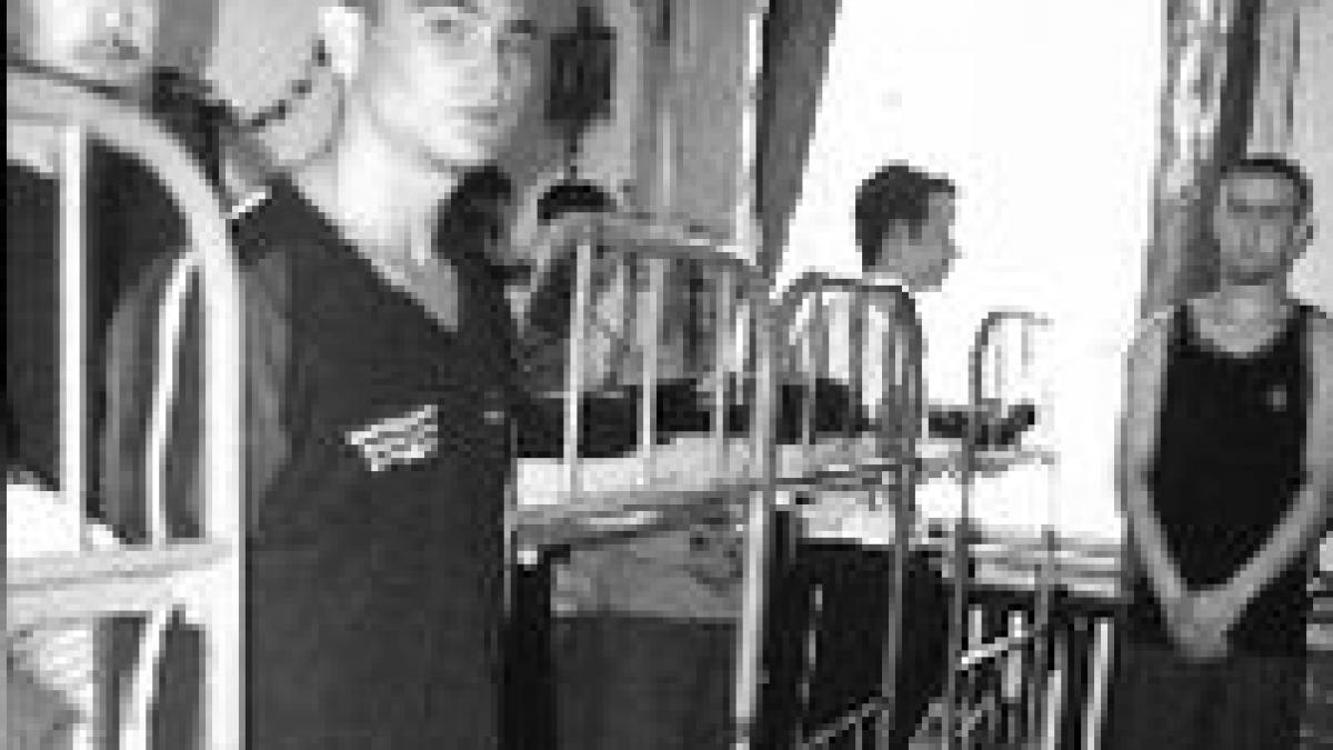 avalansa de poeti treptow in puscarii