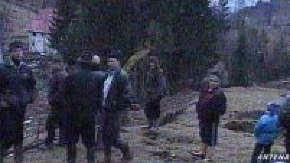 alunecari masive de teren in borsa