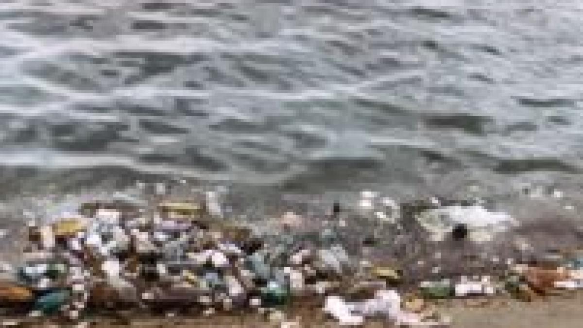 dunarea a ajuns sa fie o groapa de gunoi