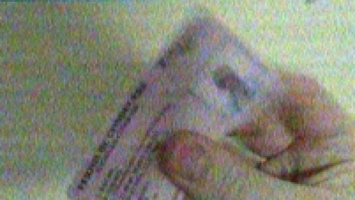 permisul auto se poate cumpara pe net