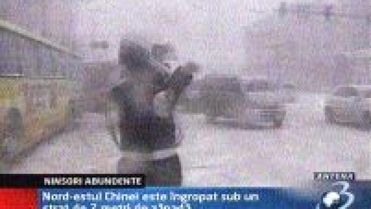 un microbuz cu muncitori din italia s a rasturnat