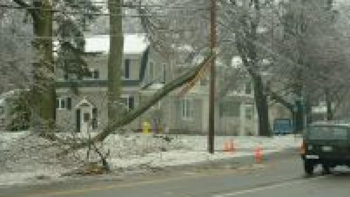 canada bucati de gheata au cazut din cer