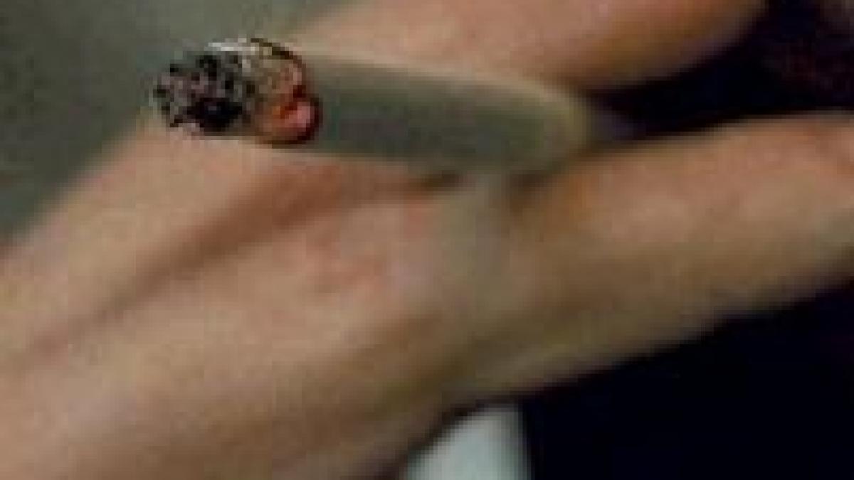 in parlamentul european se poate fuma din nou