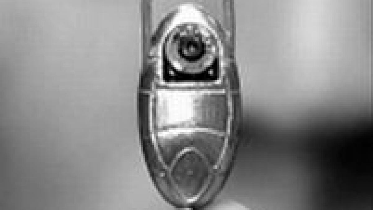 inventie gandacul care te scapa de cancer