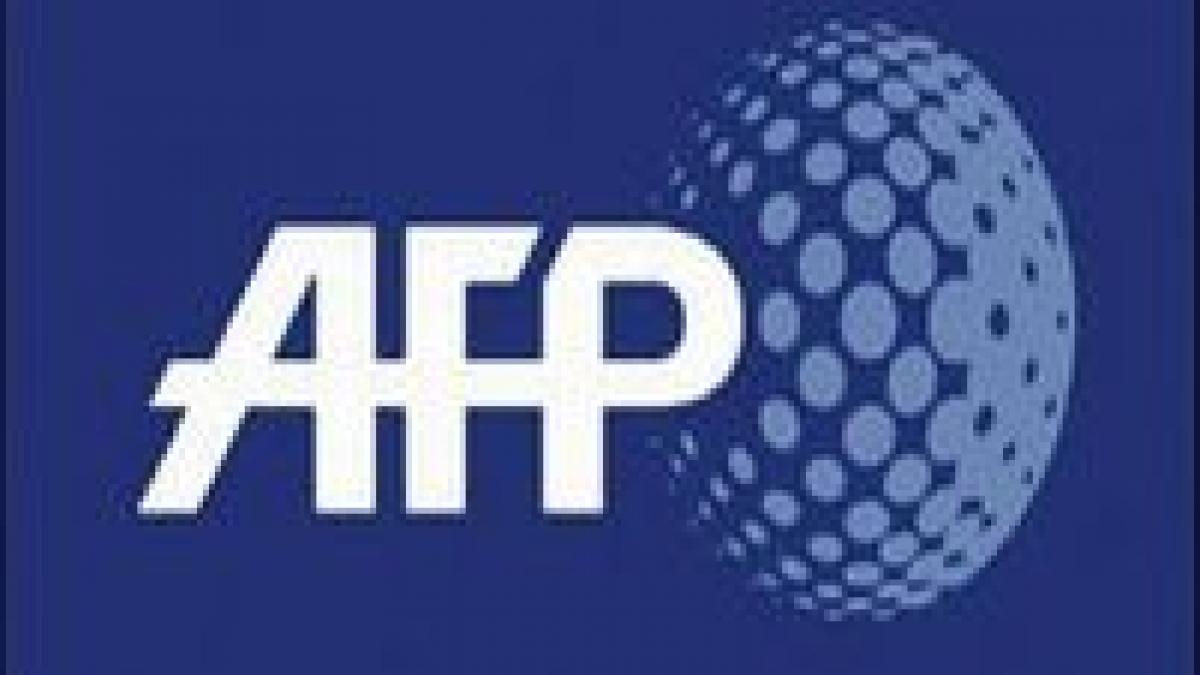 presa straina despre amanarea euroalegerilor