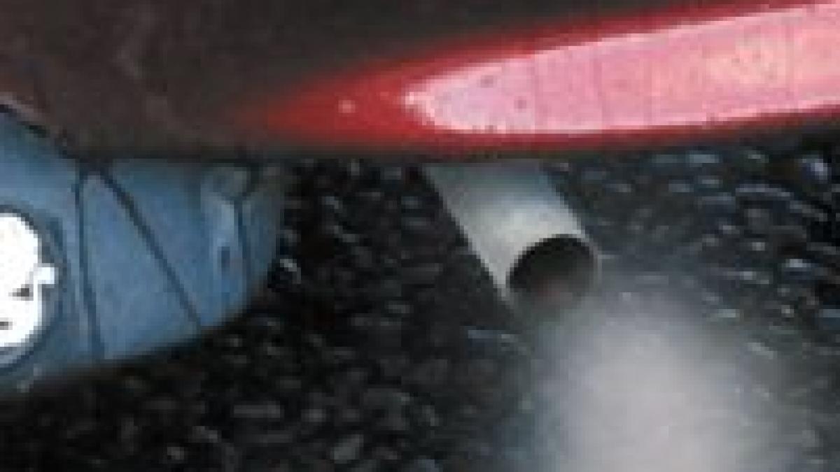 sofia e sufocata de masinile second hand