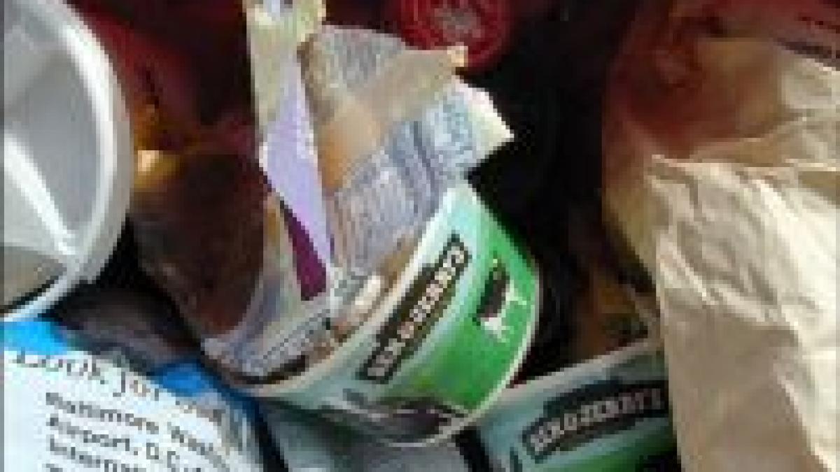 gunoaiele hollywood ului expuse la paris