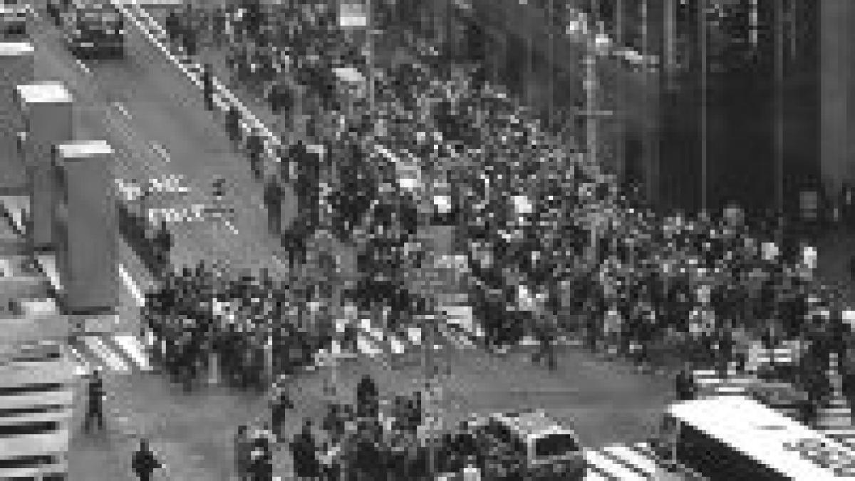 in 2050 vor fi 9 miliarde de oameni pe terra