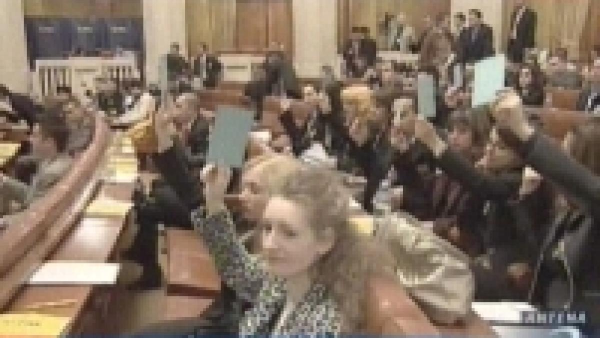 cristian adomnitei a ramas presedintele tnl