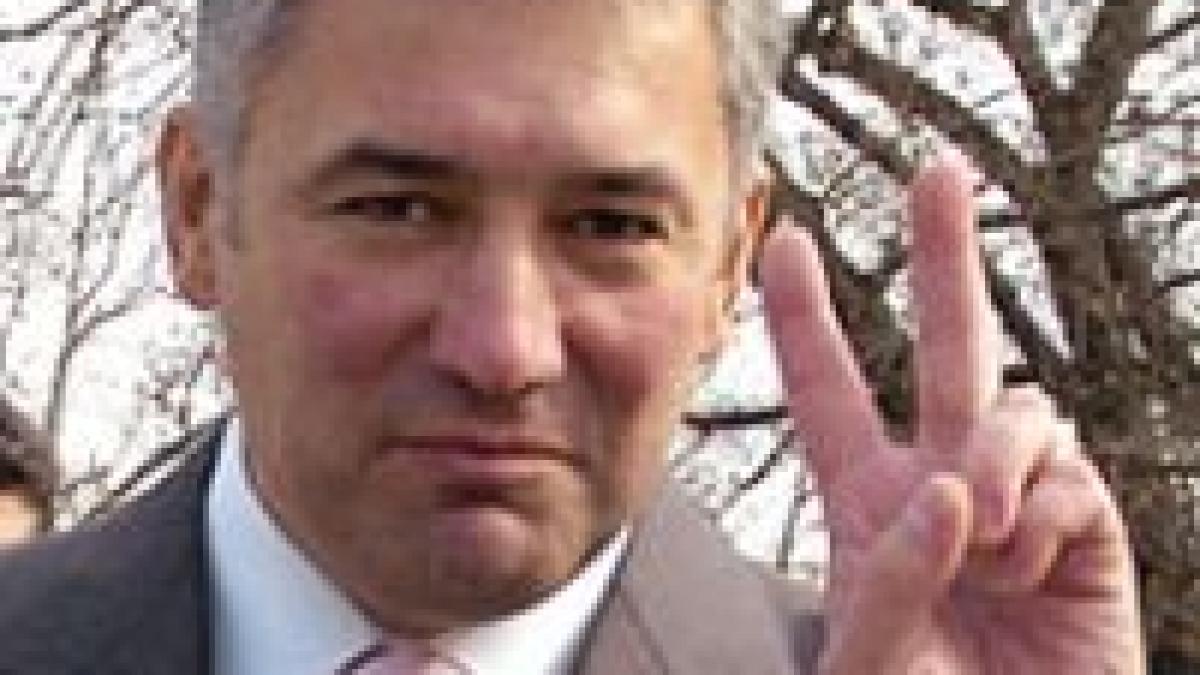 primarul videanu a iesit la plantat de copaci