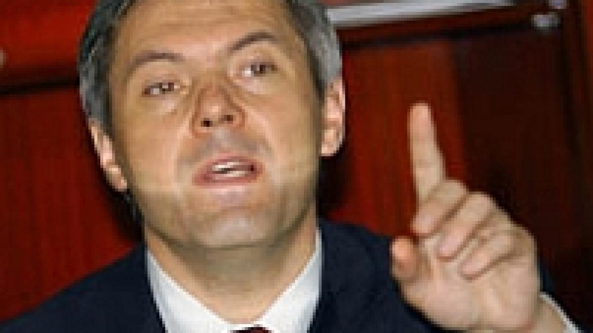 stefan cosmeanu consilier la cabinetul tariceanu