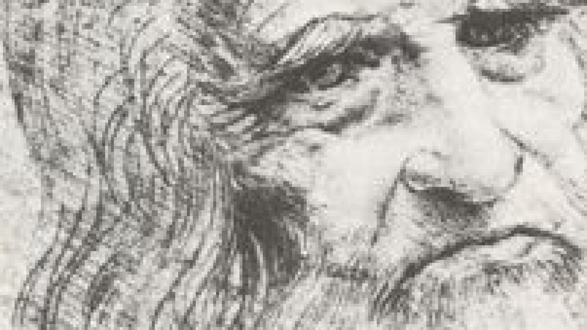 leonardo da vinci admirat in japonia