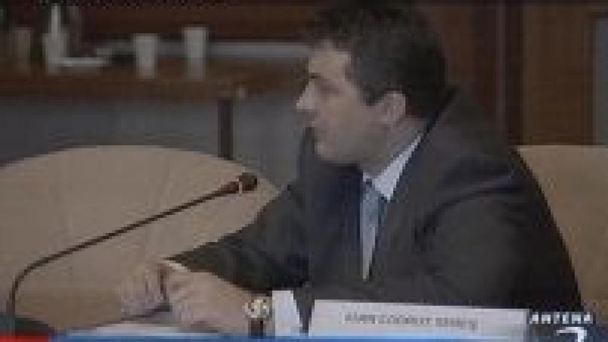 furnizorii de energie au facut presiuni