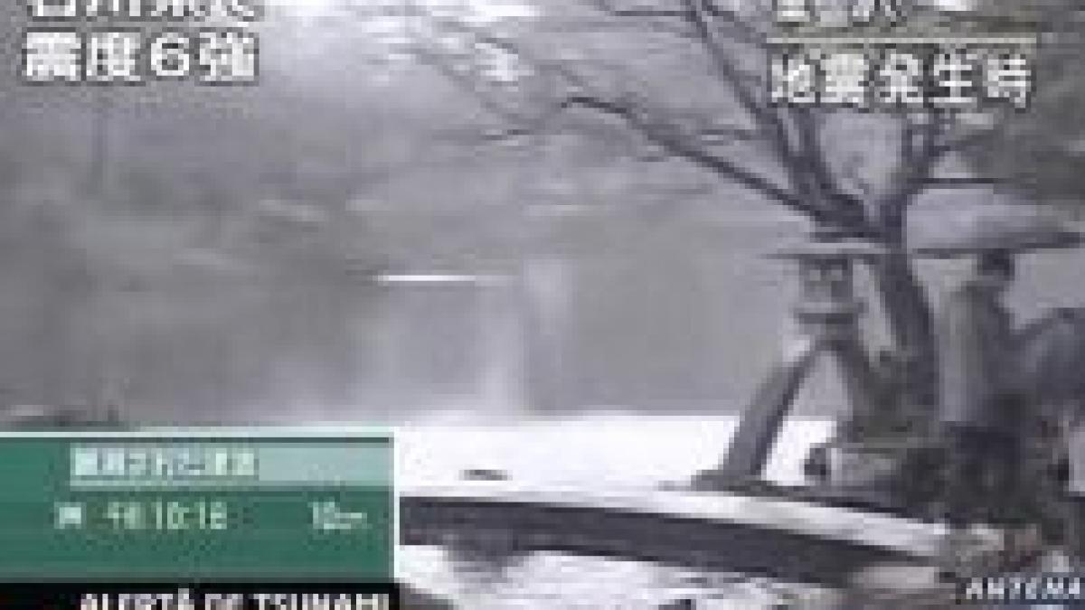 Cutremur de 6,9 grade Richter în Japonia