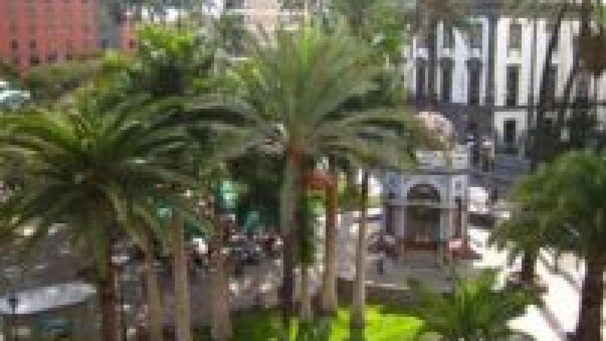 hartia va fi albastra premiata in las palmas