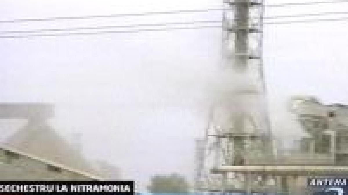 sechestru pe conturile nitramonia fagaras