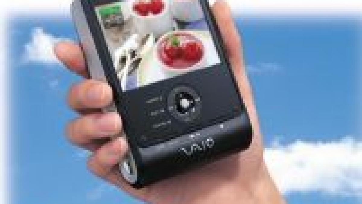 companiile japoneze risca excluderea din ue