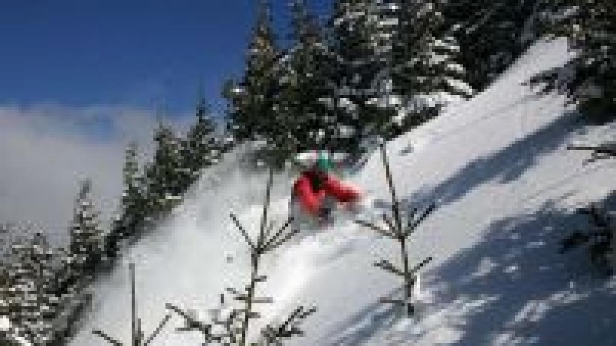 petreceti floriile pe schiuri la munte