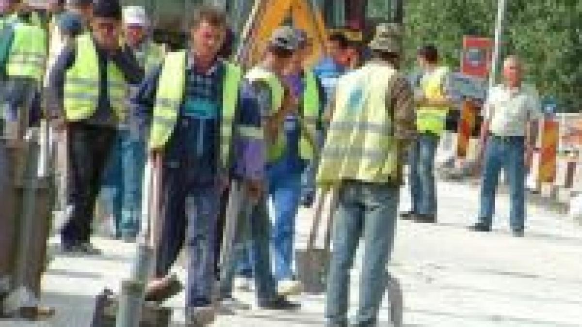 italia 40 dintre muncitorii ilegali sunt romani