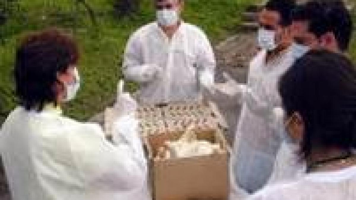 presedintele autoritatii veterinare a demisionat