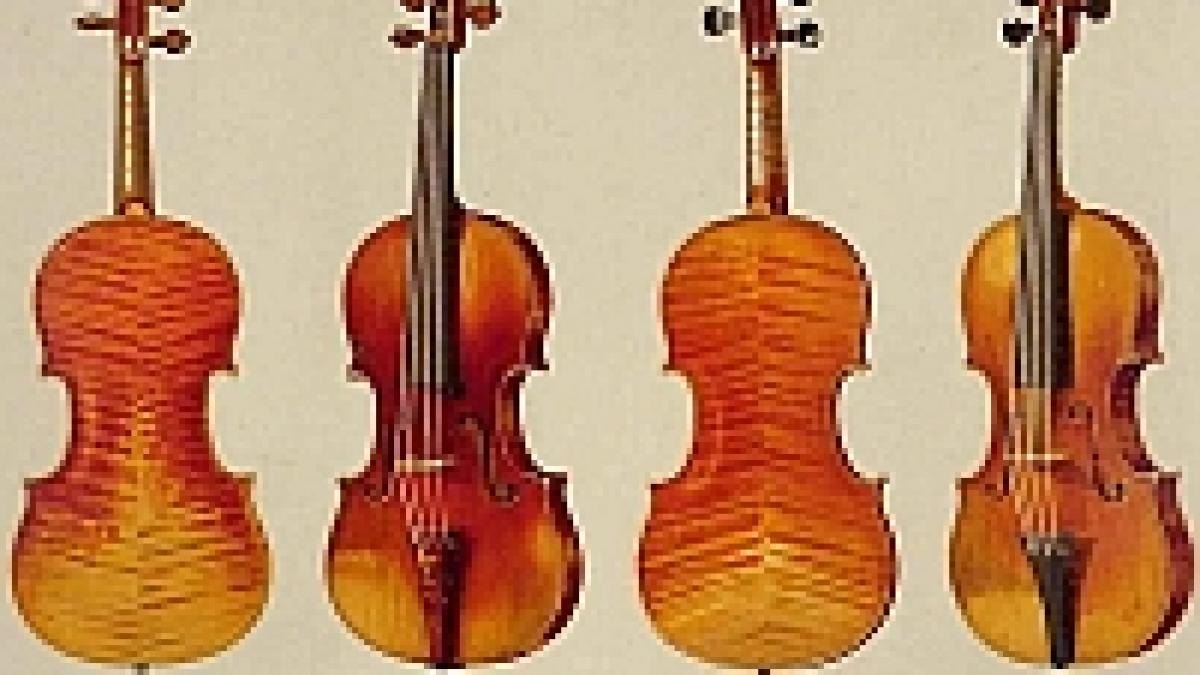 Se caută muzician pentru vioara lui George Enescu