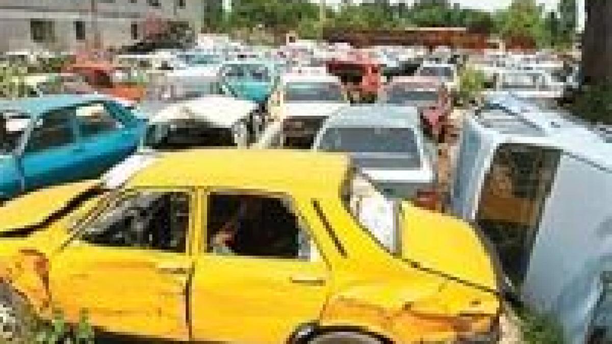 sectorul 2 rable fara stapan strivite intr o clipa