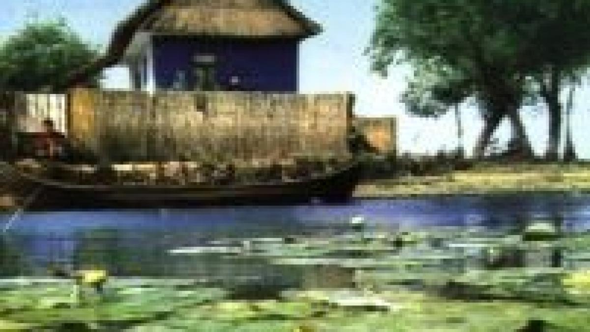 România a rămas fără 7.000 de hectare din Deltă