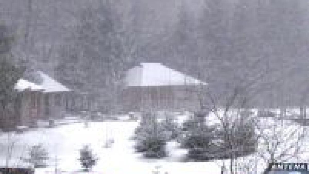 regele mihai este rechemat in instanta