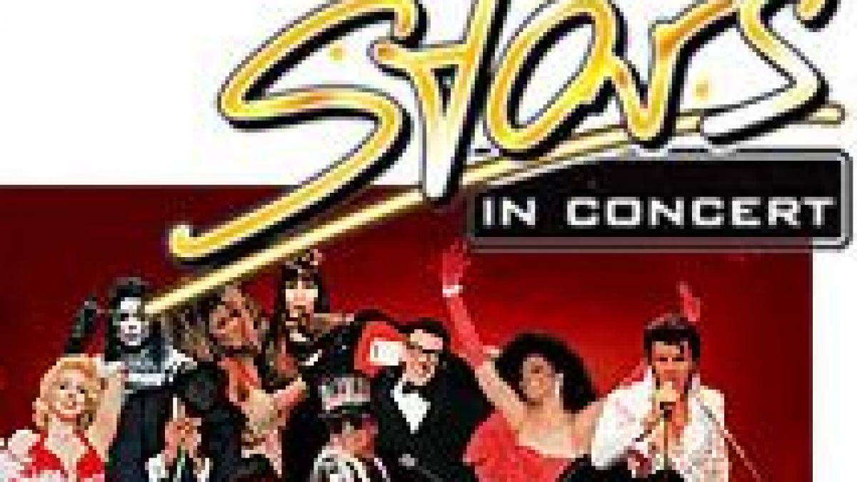 cher sting si tina turner vin in romania