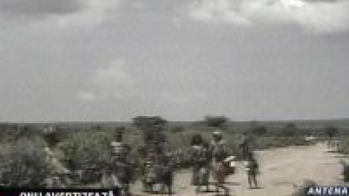 onu un miliard de oameni sufera din cauza secetei