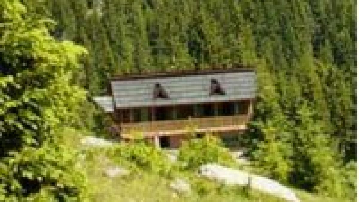 drumul lui basescu contestat de greenpeace