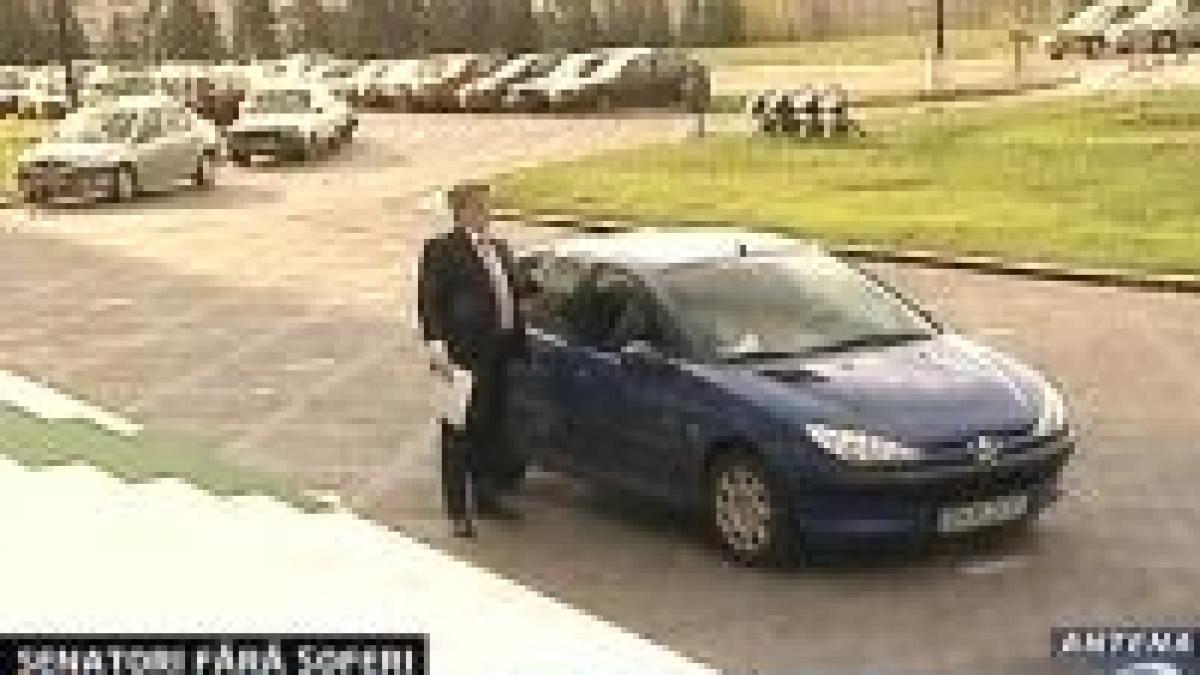 senatorii sunt campioni la plimbarea cu masina