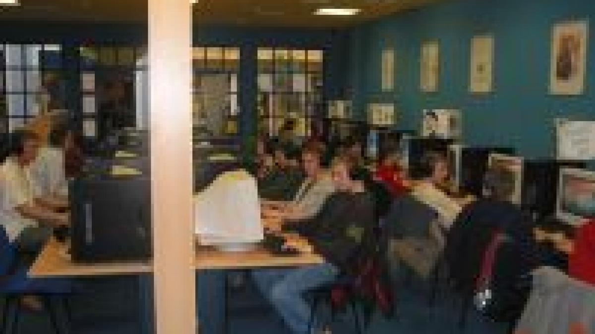 doar 25 dintre romani folosesc internetul