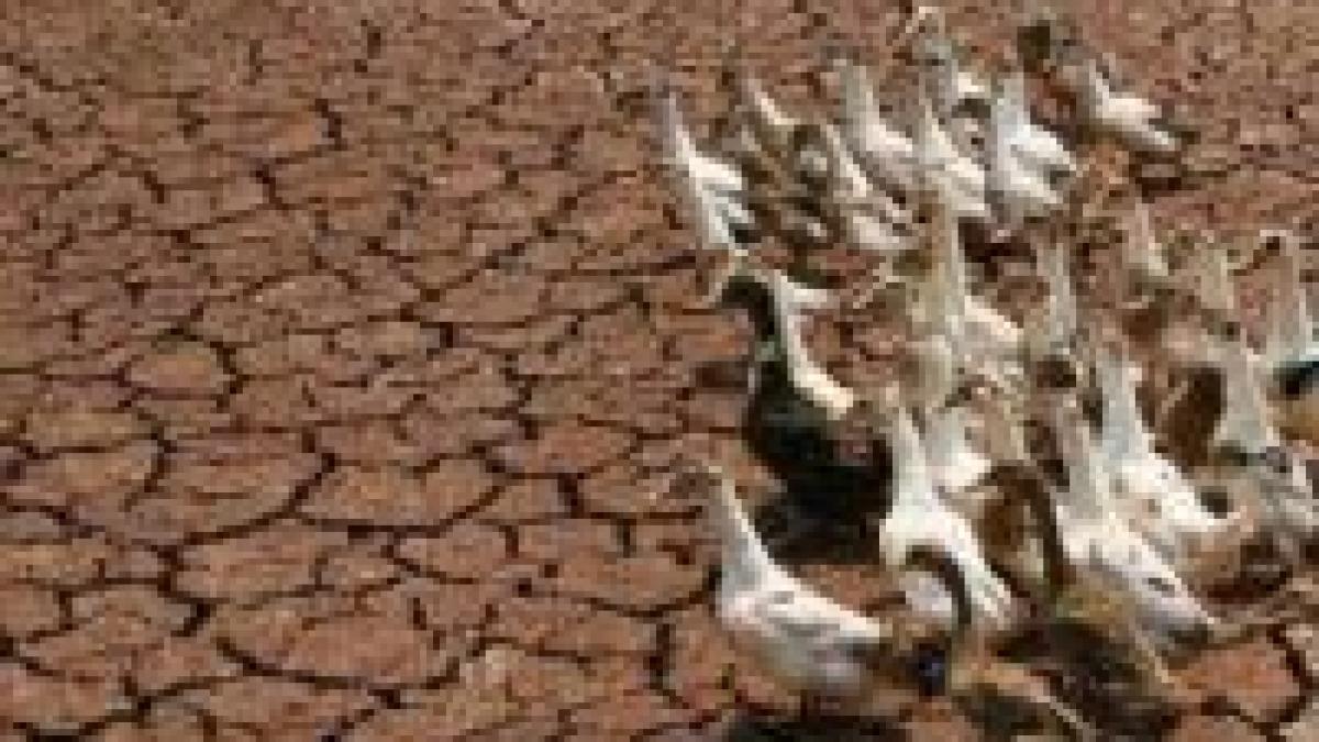 romania este amenintata de seceta