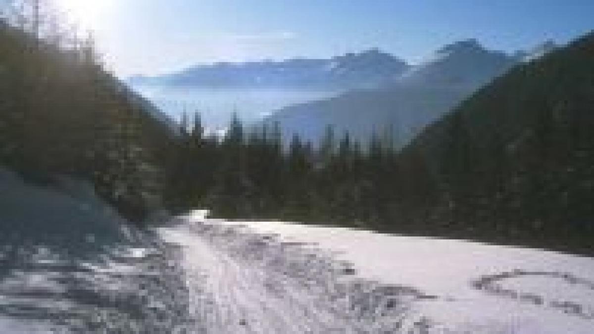 vremea rea face ravagii in statele unite