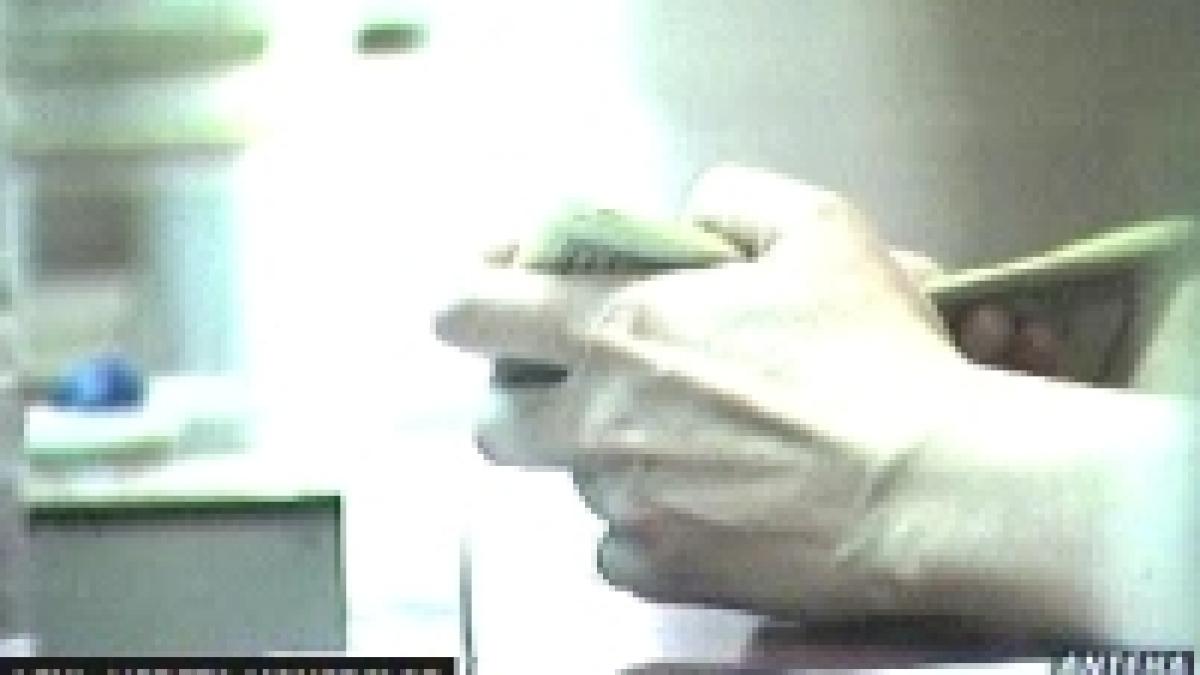 leul apreciere maxima fata de dolar in ultimii 6 ani