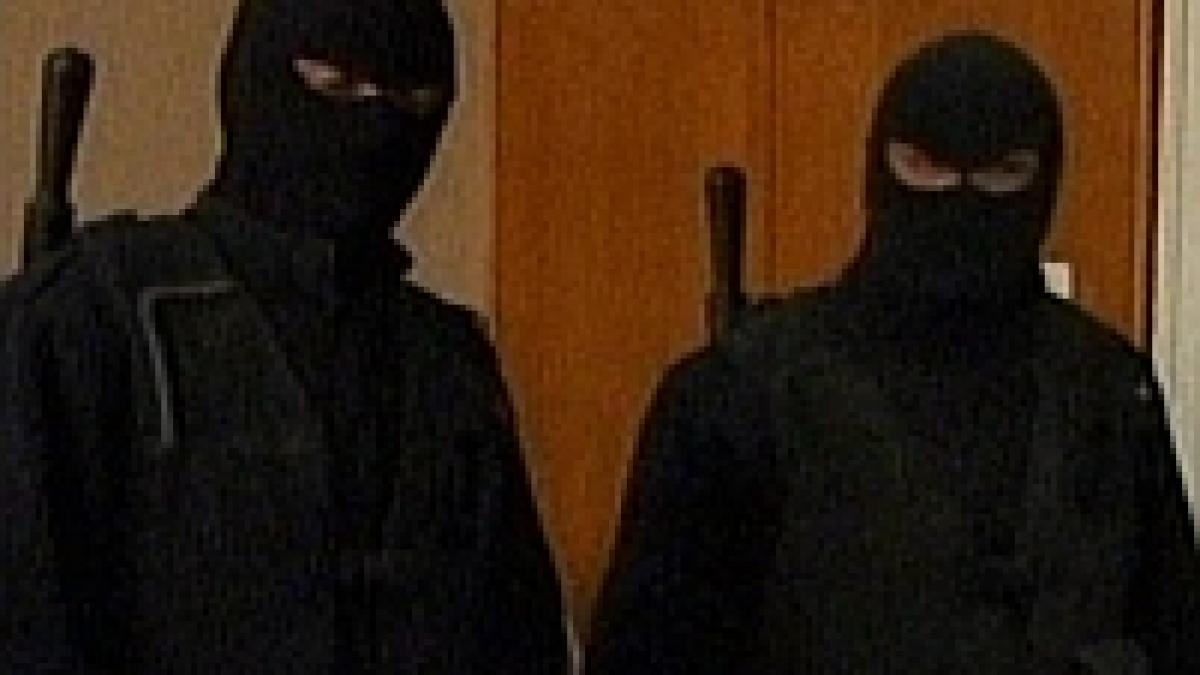 masuri impresionante la procesul clamparilor