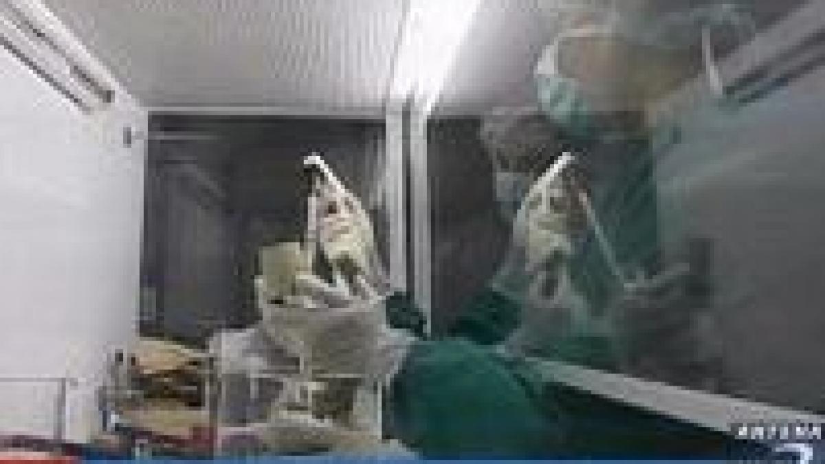 premiera cancerul poate fi eliminat cu bisturiul