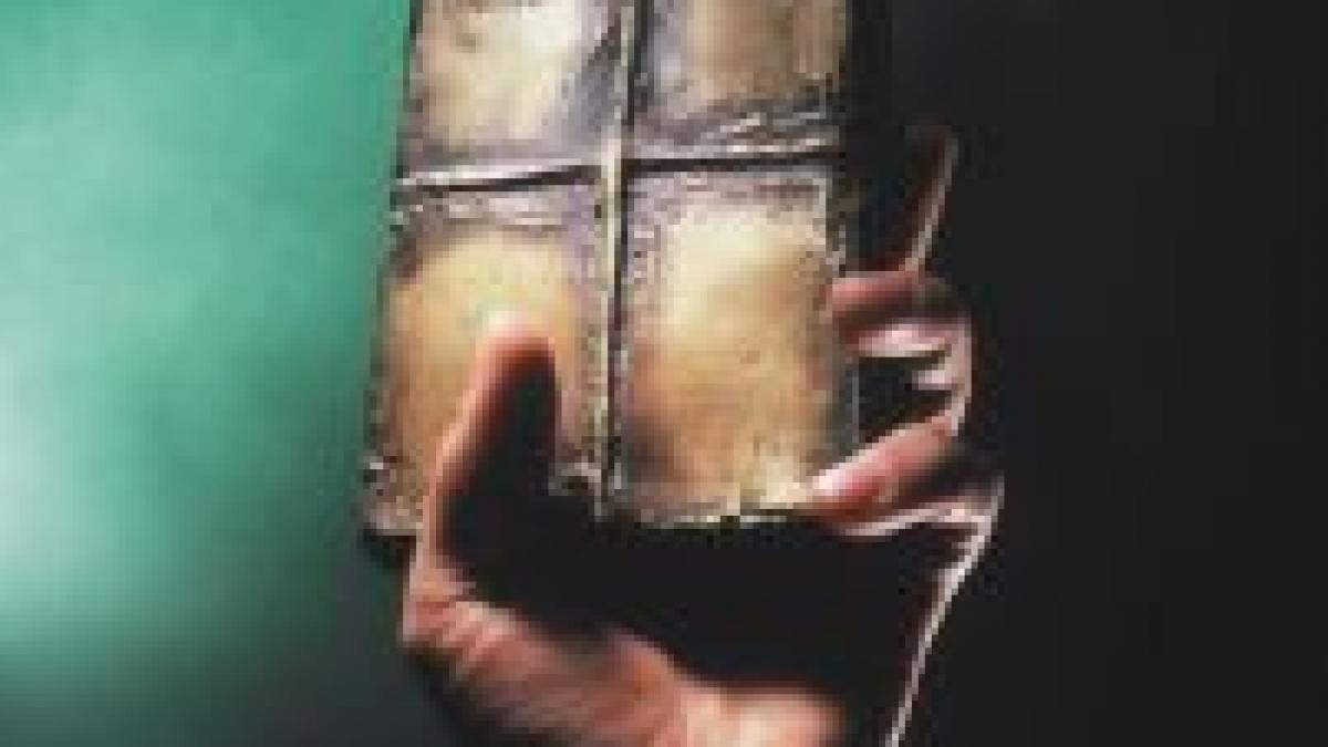 Sibiu. Gala Premiilor UNITER - câştigătorii
