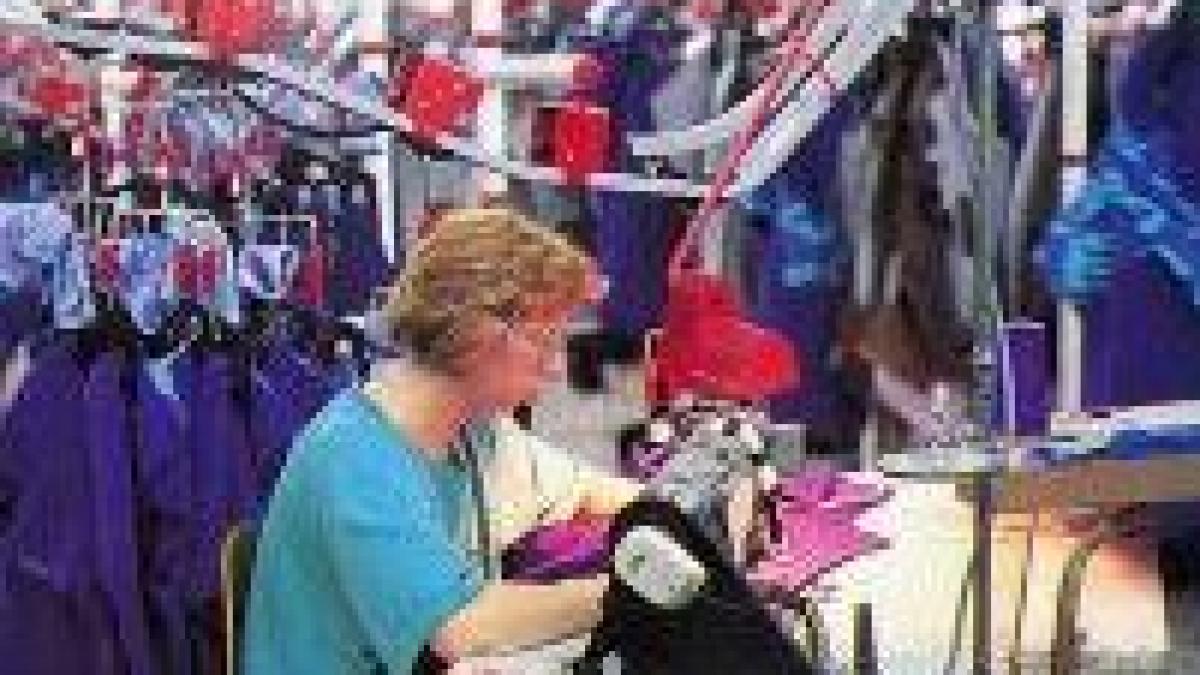 studiu stranierii vor sa se intoarca in tara