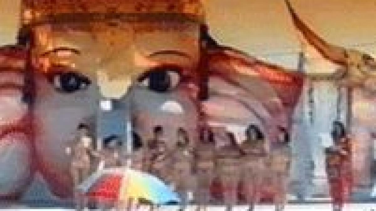 adeptii misa in sedinta la herculane