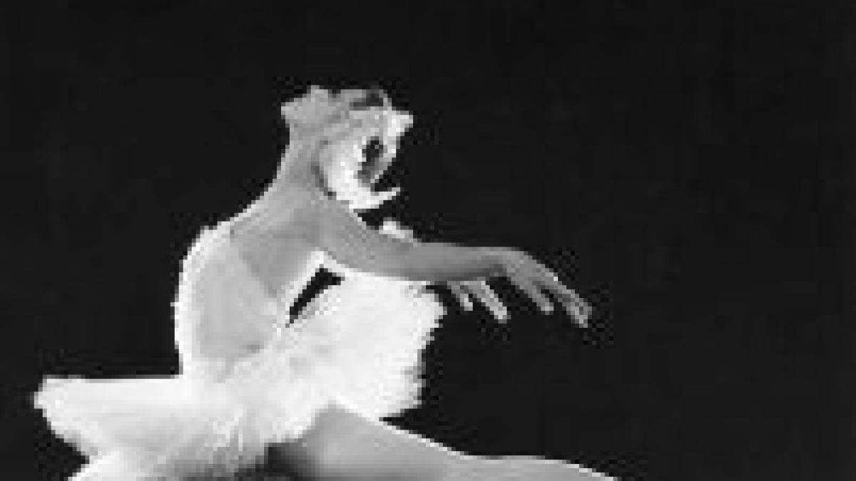 premiera absoluta corsarul la opera nationala