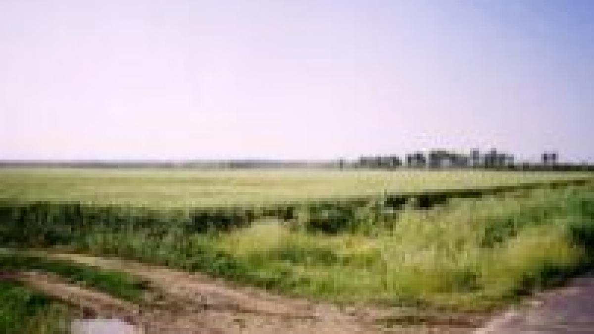 tanar omorat dintr o confuzie a criminalului