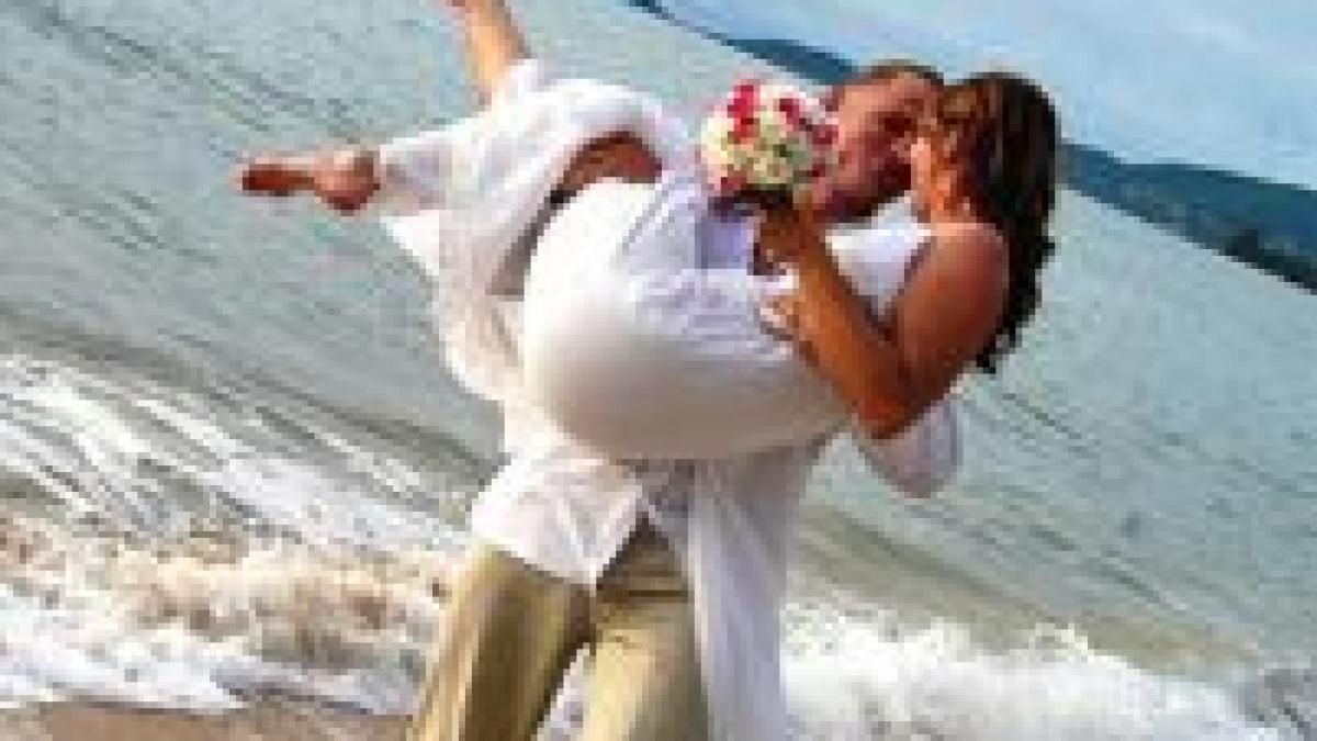 VREMEA POLENIZĂRII ÎN SHOW-BIZ