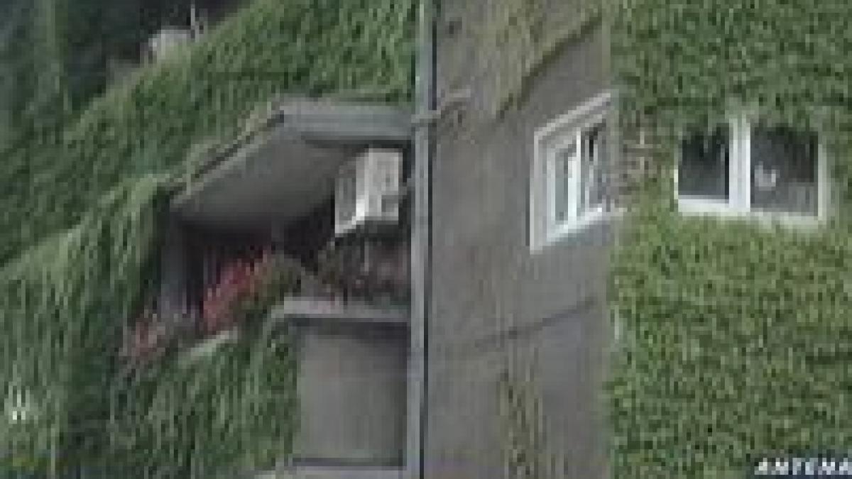 senat lege adoptata in sprijinul chiriasilor