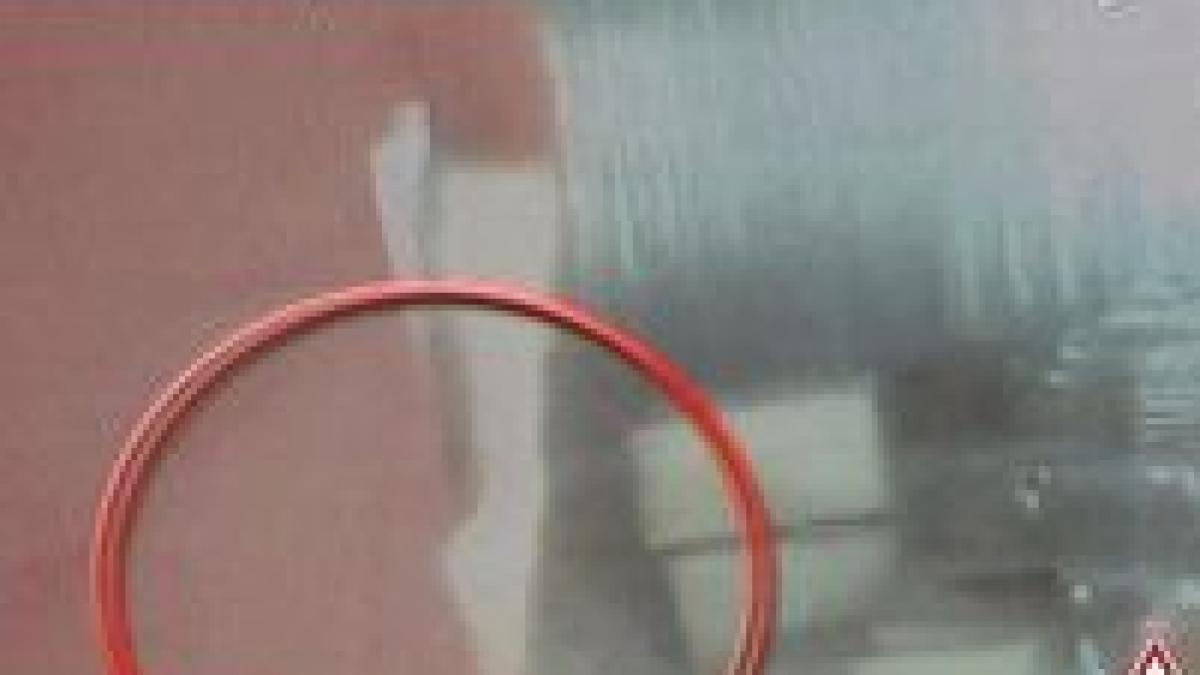 spaga din sistemul vamal romanesc la putere