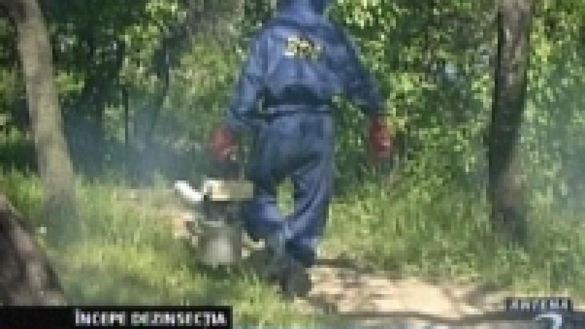 incepe dezinsectia bucurestiul scapa de tantari