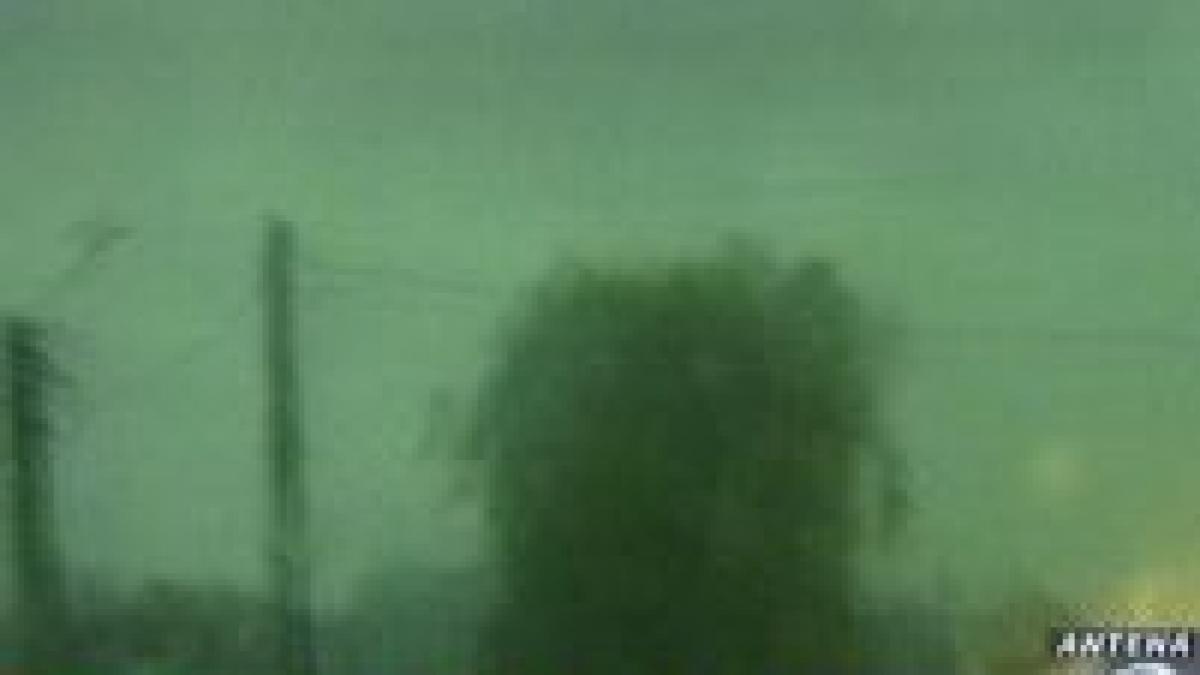 inundatii in satu mare copaci smulsi din radacina