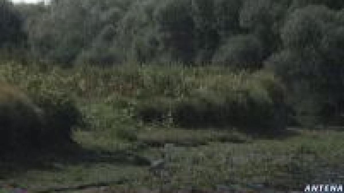 canalul bastroe pune in pericol delta