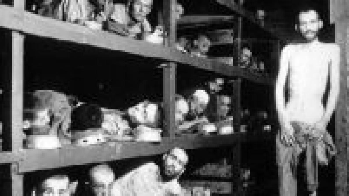 israel benzi desenate pe tema holocaustului